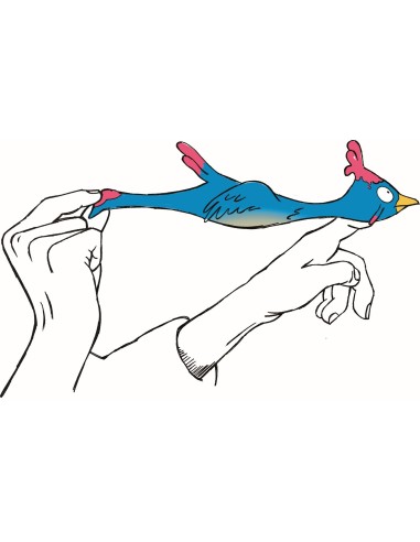 Flitsche dier Hicksi kip