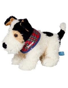Foxterrier Boomer