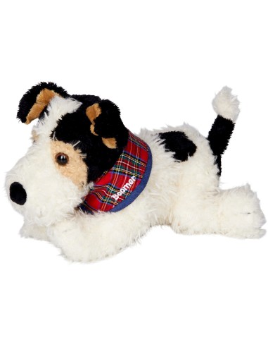 Foxterrier Boomer