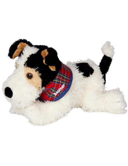 Foxterrier Boomer