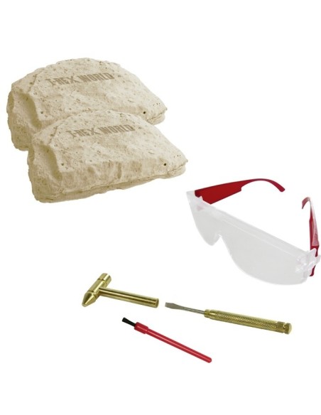 Strijd pakken - Tyrannosaurus & Carnotaurus