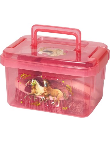 Verzorgingsset paard in koffer