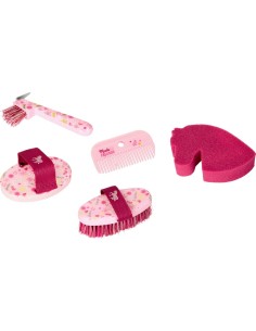 Verzorgingsset paard in koffer 2